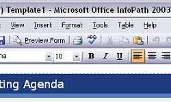 InfoPath 2003 