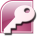  Microsoft Office Access 